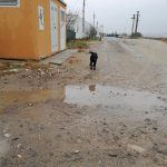 Tierschutz Hund Rumänien Baustelle Füttterung